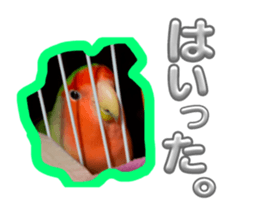 760760029