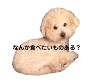760767068