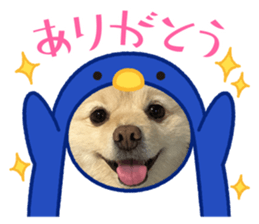 760773856