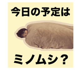 760786311