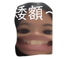 760817223