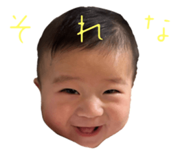 760838133