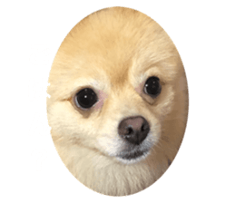 760843469
