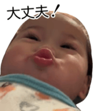 760869050