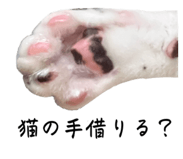 760900310