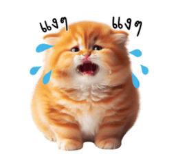 760909169