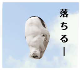 760913338