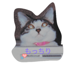 760943441