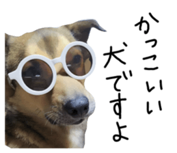 760947783