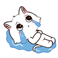 760949992