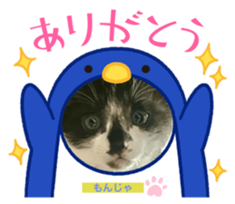 760962373