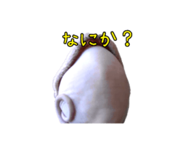 760970701