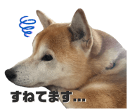 760976630