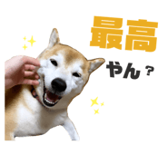 760976634