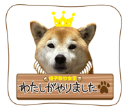 760976636