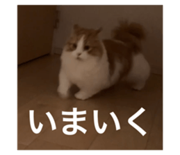 760976787