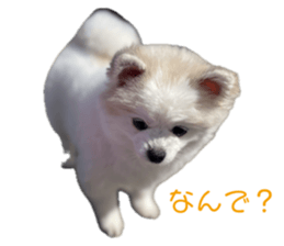 760977824