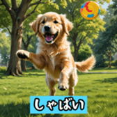 760984666