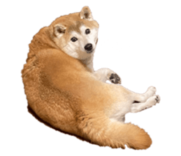 760992633