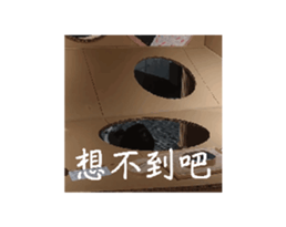 760996020
