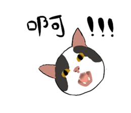 761017877