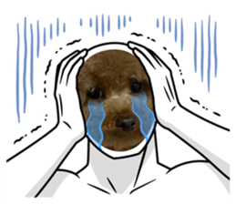 761018567