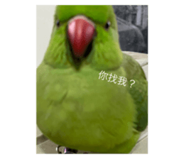 761020468