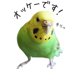 761087898