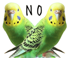 761087906