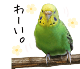 761087912