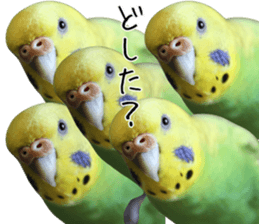 761087917