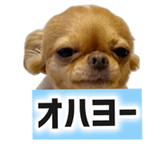 761088802