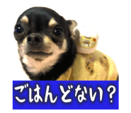 761088805