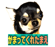 761088810
