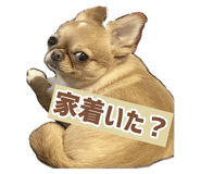 761088814