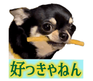 761088816