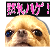 761088822