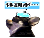 761088827