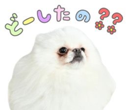 761096934