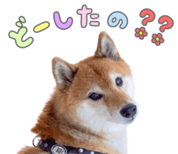 761097006