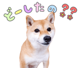 761097230