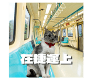 761113327