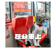 761113329