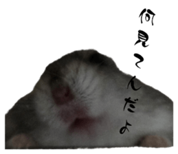 761117953