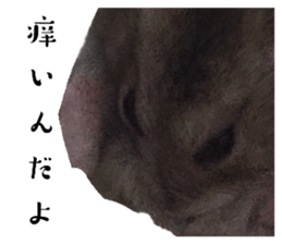 761117961