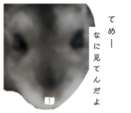 761117962