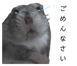 761117963