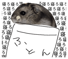 761117966
