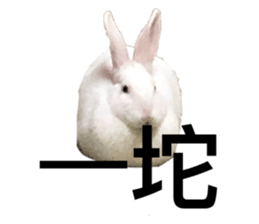 761132632