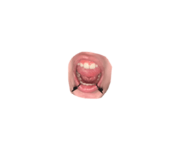 761136586
